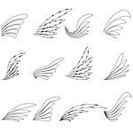 Set of Wings Icons Isolated on White Background. Wing Design Elements.