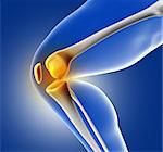 3D render of a blue medical image of close up of knee joint
