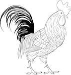rooster, farm cartoon animal, monochrome cock, bird icon line art