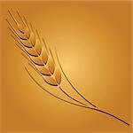Wheat colored image on golden background. Vector illustration