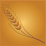 Wheat colored image on golden background. Vector illustration