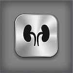 Kidneys icon - vector metal app button with shadow