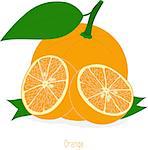 Orange slices, collection of vector illustrations on a transparent background