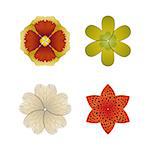 Flower buds vector design elements isolated on white background.