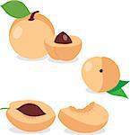 Apricot. Set apricots, apricot pieces, collection of vector illustrations on a transparent background
