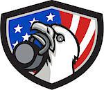 Illustration of an american bald eagle head looking up to the side lifting kettleball with beak set inside shield crest with american usa flag in the background.