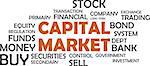 A word cloud of capital market related items