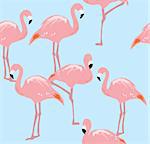 vector illustration of flamingo seamless background