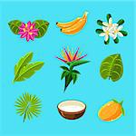 Tropical Plants And Fruits Collection In Simple Realistic Cartoon Flat Vector Design Isolated On Blue Background