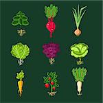 Fresh Vegetable Plants With Roots Set In Realistic Cartoon Cool Flat Vector Design Isolated On Black Background