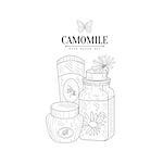 Camomile Natural Cosmetics Hand Drawn Realistic Detailed Sketch In Classy Simple Pencil Style On White Background