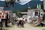 Man posing as a Prospector driving horse-drawn wagon through Barkerville Historic Town in British Columbia, Canada