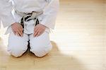 Japanese kid in karate uniform training