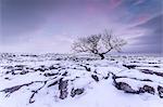 Twistleton Scar End in snow, Ingleton, Yorkshire Dales, Yorkshire, England, United Kingdom, Europe