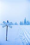 Sweden, Dalarna, Salen, Cross sign by ski tracks with pine forest in background in winter