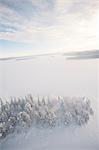 Sweden, Lappland, Jokkmokk, Trees and frozen lake in winter