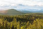 Sweden, Harjedalen, Storsjo, Scenic view of pine forest with mountains in background