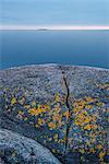 Sweden, Stockholm archipelago, Sodermanland, Femore, Eroded rock with water in background