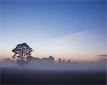 Sweden, Skane, Klingavalsan nature reserve, Veberod, Foggy landscape at sunrise