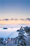 Finland, Pirkanmaa, Tampere, Landscape with frozen lake at dusk