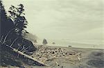 View of coastline from Ruby Beach, piles of driftwood in foreground, Olympic National Park, WA, USA