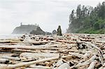 View of coastline and Ruby Beach, piles of driftwood in the foreground.