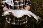 Close up of a chef holding a fresh salmon in his hands.