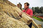 Thatcher standing on a roof, holding a yelm of straw.