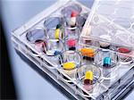 Pharmaceutical research, variety of medical drugs in a multi well tray for laboratory testing