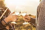 Couple in field making a toast