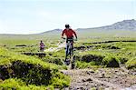 Cyclists cycling down hillside