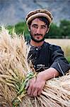 A farmer holds a freshly cut bundle of wheat in the Panjshir Valley, Afghanistan, Asia