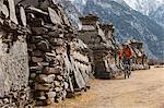 A mountain biker cycles past a line of chortens in the Tsum valley, Manaslu region, Nepal, Asia