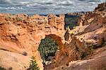 Natural Bridge, Bryce Canyon National Park, Utah, United States of America, North America