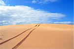 Vehicle tracks over a remote, deserted sand dune.