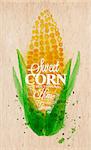 Poster with watercolor corn lettering sweet corn natural home grown