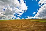 Plowed field under dramatic sky view, agricultural region of Prigorje, Croatia