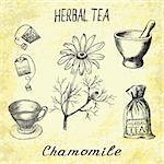 Chamomile herbal tea. Set of vector elements on the basis hand pencil drawings. Herb chamomile, tea bag, mortar and pestle, textile bag, cup. For labeling, packaging, printed products