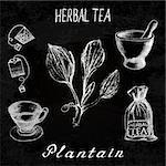 Plantain herbal tea. Chalk board set of vector elements on the basis hand pencil drawings. Herb Plantain, tea bag, mortar and pestle, textile bag, cup. For labeling, packaging, printed products