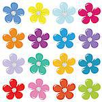 Set of colorful flowers on white background