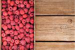 Fresh organic ripe raspberry in box on wooden table with copy space