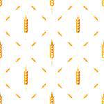 Seamless Wheat Pattern. Set of Ears Isolated on White Background