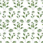 Seamless plant background. Endless pattern with green Echinacea plant silhouette. Vector illustration on white background