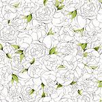 White peonies background with green leaves