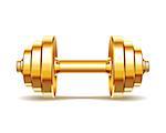 Golden realistic dumbbell isolated on white background. Realistic vector illustration.