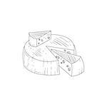Round Cheese With A Segment Cut Out Hand Drawn Realistic Detailed Sketch In Classy Simple Pencil Style On White Background