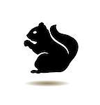 vector illustration of a squirrel icon
