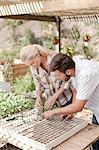 Mature couple planting seedlings in tray