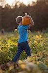 Young boy in pumpkin patch, carrying pumpkin, rear view