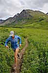 Woman running the Gold Mint Trail, Talkeetna Mountains near Hatcher Pass, Alaska, USA